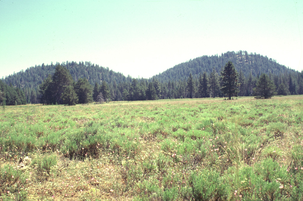 Twin Buttes are part of a group of cinder cones near Pleistocene Burney Mountain volcano.   North Twin Butte (left) and South Twin Butte (right) rise above flat-lying forests and meadows SE of Burney Mountain.  The cones are part of an area of extensive Quaternary volcanism north of the Lassen volcanic field.  Twin Buttes and associated lava flows are of late-Pleistocene or early Holocene age. Photo by Lee Siebert, 1998 (Smithsonian Institution).