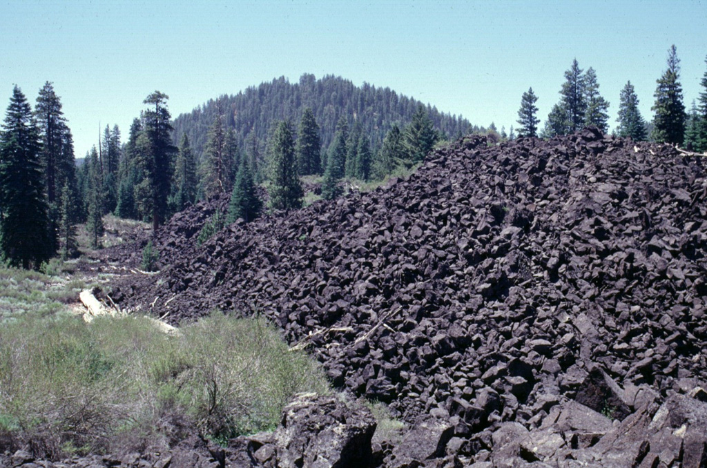 Sparsely vegetated andesitic lava flows issued from South Twin Butte, the tree-covered cinder cone in the background.  The two Twin Butte cinder cones and associated lava flows are part of a broad area of little-known youthful Quaternary volcanic features north of Lassen Volcanic National Park. Photo by Lee Siebert, 1998 (Smithsonian Institution).