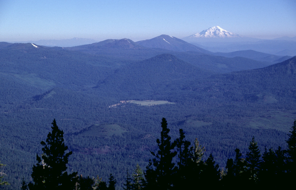 The two small Pleistocene cinder cones in the Hat Creek valley, just to the right of the two highest trees in the foreground, are viewed here from West Prospect Peak.  The cones are among a series of young volcanic vents located north of Lassen Peak and fed lava flows that traveled to the north (right).  Three forest-covered Pleistocene volcanoes can be seen in the background, Sugarloaf (above the green meadow in the center), Logan Mountain (left-center), and Burney Mountain (right-center).  Snow-capped Mount Shasta is at the upper right. Photo by Lee Siebert, 1998 (Smithsonian Institution).