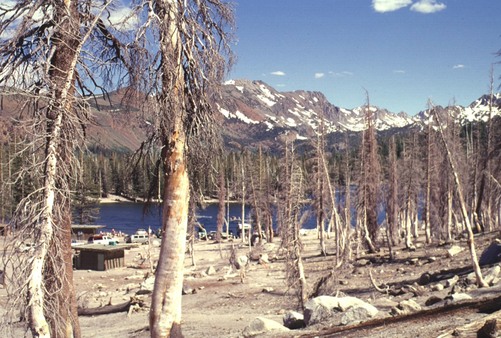 An area of extensive tree kill at Horseshoe Lake, SE of Mammoth Mountain, is seen in July 1998.  Dead trees on the NW side of the lake contrast with undamaged trees on the opposite side of the lake.  The Horseshoe Lake area is the largest of seven areas of elevated carbon dioxide concentrations located on the southern, northern, and western flanks of Mammoth Mountain.  Trees began taking up of magmatic carbon dioxide in early 1990 following the 1989 Mammoth Mountain earthquake swarm. Photo by Lee Siebert, 1998 (Smithsonian Institution).
