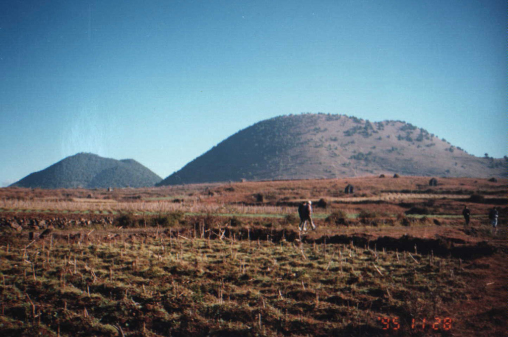 Two of the many scoria cones of the Tengchong Volcanic Field rise above cultivated lands in southern China near the border of Myanmar. Volcanism in this 600 km2 volcanic field took place during five periods ranging from the early Pliocene to the late Holocene. An explosive eruption took place at the northern cone of Dayingshan in 1609. The area is the site of active geothermal fields. Photo by Liu Xiang, 1995 (Changchun University).