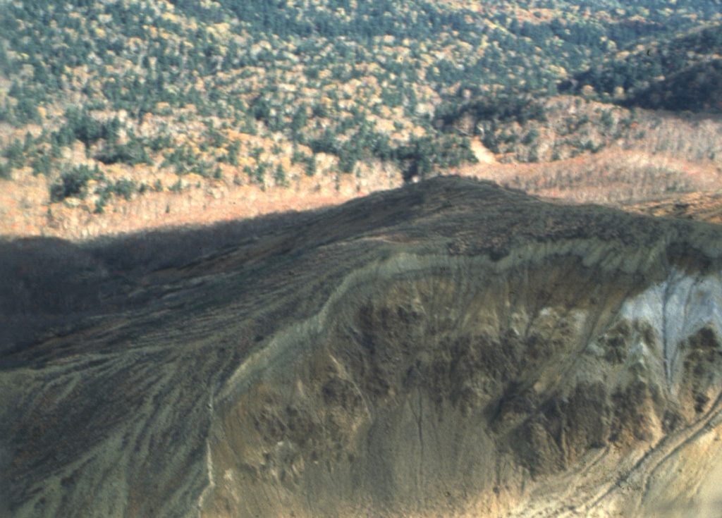 Hydrothermally altered rocks in the crater of Maruyama lava dome are seen in the foreground of this aerial view from the NE. Maruyama, which had a minor phreatic eruption in 1898, is part of the Nipesotsu-Maruyama volcano group, located in central Hokkaido E of Tokachidake volcano. The group is composed of a number of overlapping cones and lava domes along a NW-SE trend. Photo by Yukio Hayakawa, 1990 (Gunma University).