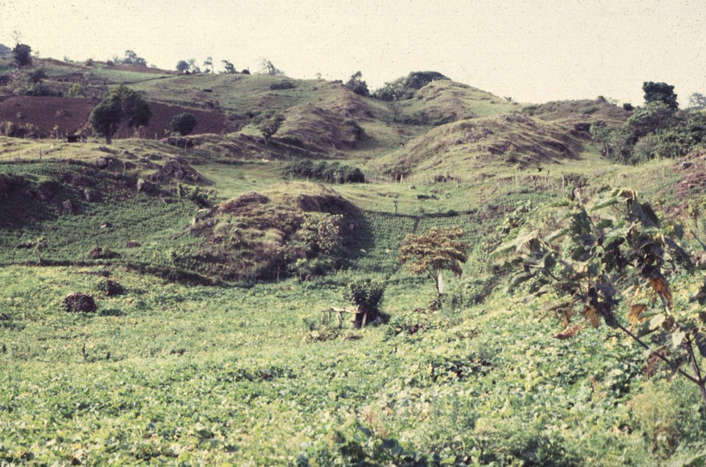 The Cervantes lava flows formed this uneven terrain on the south flank of Irazú. This massive flow deposit originated from two vents, Cerro Pasquí and another to the NW, producing the eastern and western Cervantes flows, respectively. The former traveled about 10 km to the base of the volcano. These flows are geochemically different, with the 0.17 km3 western flow being basaltic in composition and the 0.9 km3 eastern flow basaltic andesite. Radiocarbon ages for the flows range between about 14,000 and 17,000 years ago. Photo by Guillermo Alvarado, 1986 (Instituto Costarricense de Electricidad).