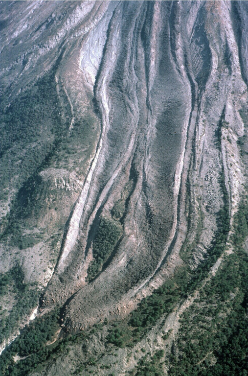 Two parallel lava lobes with lateral levees were emplaced in the Cordoban drainage on the SW flank of Colima, seen here on 8 February 1999. The flows are partly confined within levees of older lava flows. Lava extrusion had begun from the summit lava dome on 20 November 1998 and quickly produced a flow that split into three lobes as it diverged around topographic highs on the upper flanks. Photo by Jim Luhr, 1999 (Smithsonian Institution).