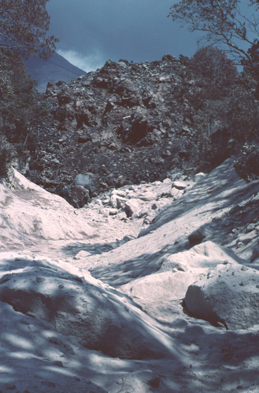 The slowly advancing front of the westernmost of three lava flows in the Cordobán drainage buries light-colored block-and-ash flow deposits formed during earlier collapse of the moving flow front. This photo was taken on 7 February 1999, about two and half months after lava extrusion began in November 1998. The flow front is about 30 m high. Photo by Jim Luhr, 1999 (Smithsonian Institution).