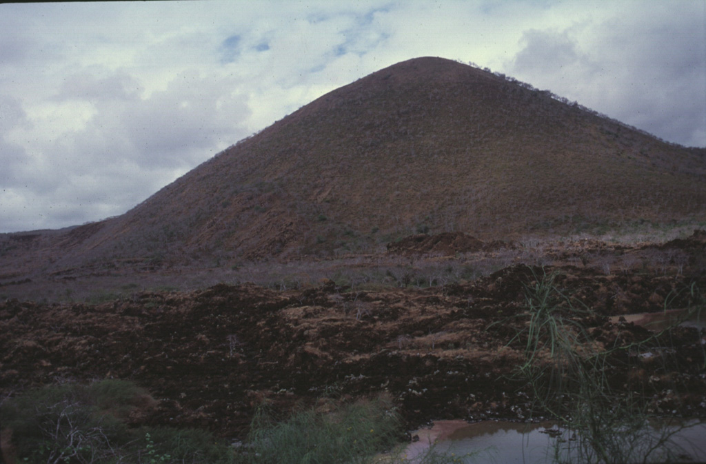 A sparsely vegetated lava flow appears in the foreground below Cerro Pajas, one of the more than 50 cinder cones dotting Floreana Island.  Several young lava flows on Floreana, also known as Charles Island or Santa María Island, were considered due to their morphology to be Holocene, but Pleistocene surface exposure ages were obtained.  Cerro Pajas, the most conspicuous of the cinder cones on the island, fed a massive pahoehoe lava flow that reached the SW coast over a broad 6.5 km area. Photo by Carlos Pullinger, 1996 (Servicio Nacional de Estudios Territoriales, El Salvador).
