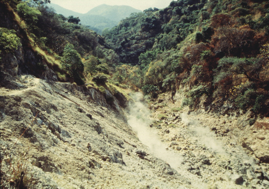 Fumaroles are seen here within Ausoles de Agua Agria, a large thermal area on the flank of San Vicente. Low-temperature fumaroles (less than 100°C) and hot springs are located along faults through the northern and western flanks. Photo courtesy of Comisión Ejecutiva Hidroeléctricia del Río Lempa (CEL), 1992.