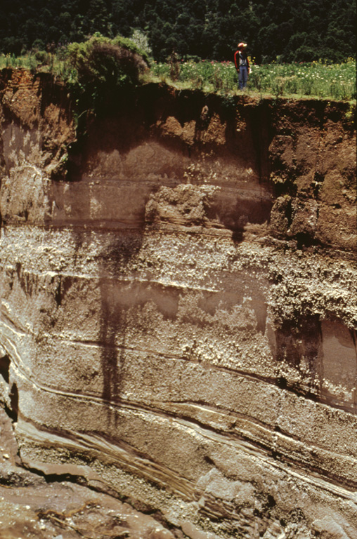 Stream erosion exposes an outcrop of the Upper Toluca Pumice, which originated during the last large Plinian eruption of Nevado de Toluca volcano some 10,500 years ago. This eruption produced a sequence of pyroclastic flow, pyroclastic surge, and ashfall deposits. Note the person at the top of the outcrop for scale. The Upper Toluca Pumice was distributed primarily to the NE and is found over much of the Valley of México. Photo by José Macías, 1995 (Universidad Nacional Autónoma de México).