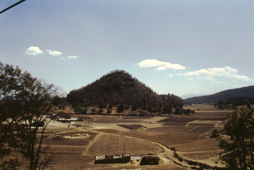 This conical hill is among many hummocks found at the NE base of Jocotitlán volcano and represents part of the edifice that collapsed in a massive volcanic debris avalanche about 9,700 years ago. The hummocks contain abundant large blocks (1-10 m in diameter) and larger mega-blocks (10-20 m in diameter). The largest are up to 200 m high and occur within 3-5 km of the volcano along with large parallel transverse ridges up to 2.7 km long. The size and height decrease towards the margins of the deposit. Photo by José Macías, 1997 (Universidad Nacional Autónoma de México).