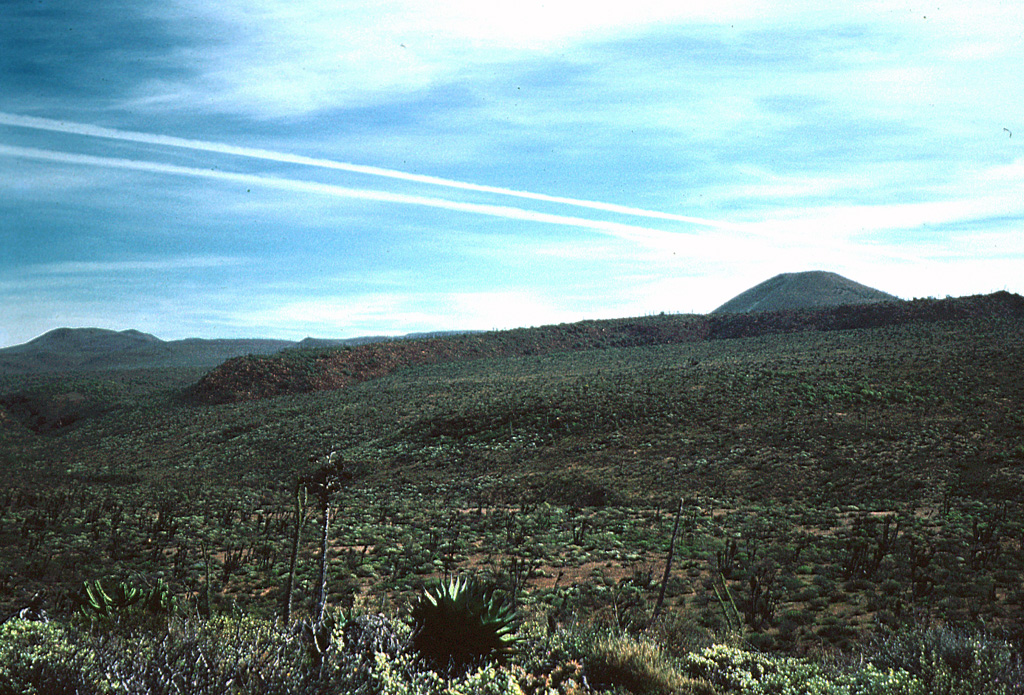 One of the many scoria cones of the Jaraguay Volcanic Field is seen here from the SW across the Arroyo San José. Two lava flows of probable Holocene age originated from a nearby scoria cone. This is the largest young volcanic field of Baja California, located in northern Baja between Jaraguay and Arroyo San José, it contains numerous scoria cones and lava flows. Photo by Andy Saunders, 1984 (University of Leichester).