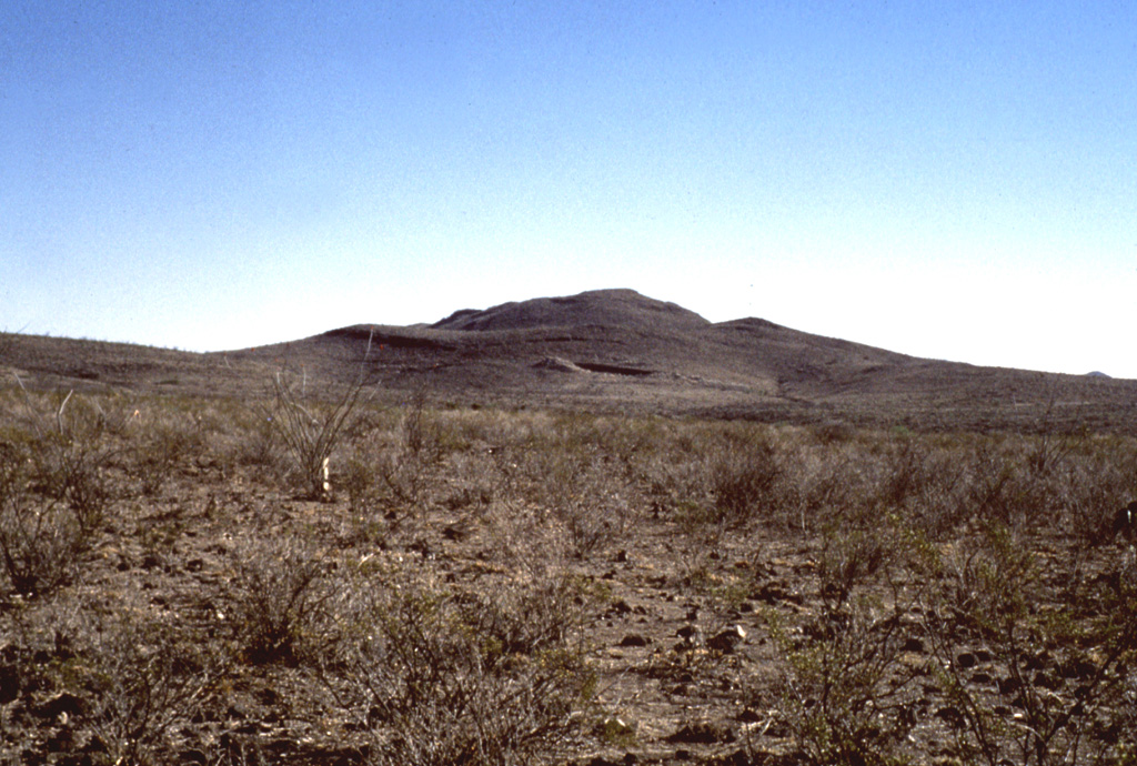 Cerro Quemado cone of the Camargo volcanic field is seen here on the horizon from the north with the quarry in the adjacent Cerro el Salto (La Olivina) cone in the center of the photo.  La Olivina is a source of abundant spinel-lherzolite xenoliths that were once mined for peridot. Photo by Jorge Aranda-Gómez, 1995 (Universidad Nacional Autónoma de México).