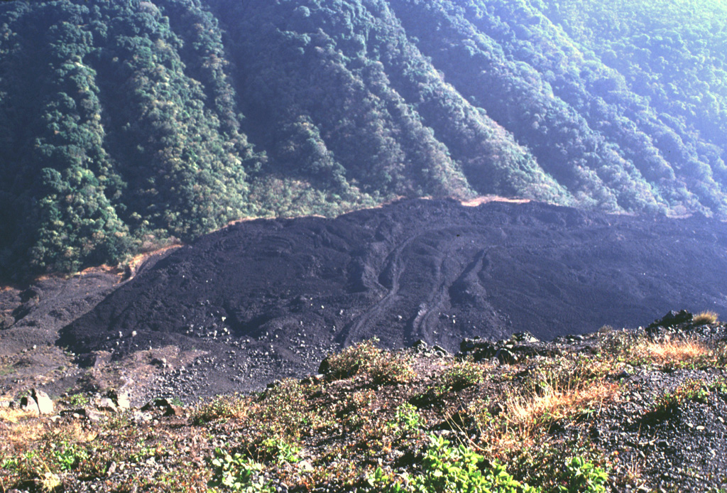 The lava flows with levees in the center of the photo were extruded from a vent on the NE flank of Izalco beginning in 1955. This lava extrusion took place during an almost continuous period of Strombolian activity from November 1948 until the end of 1957. Periods of lava effusion took place July 1950, September-November 1952, October 1954, intermittently in 1955, November 1956, and January 1957. The eruption tapered off in late 1957 and was over by the end of the year. Photo by Lee Siebert, 1999 (Smithsonian Institution).