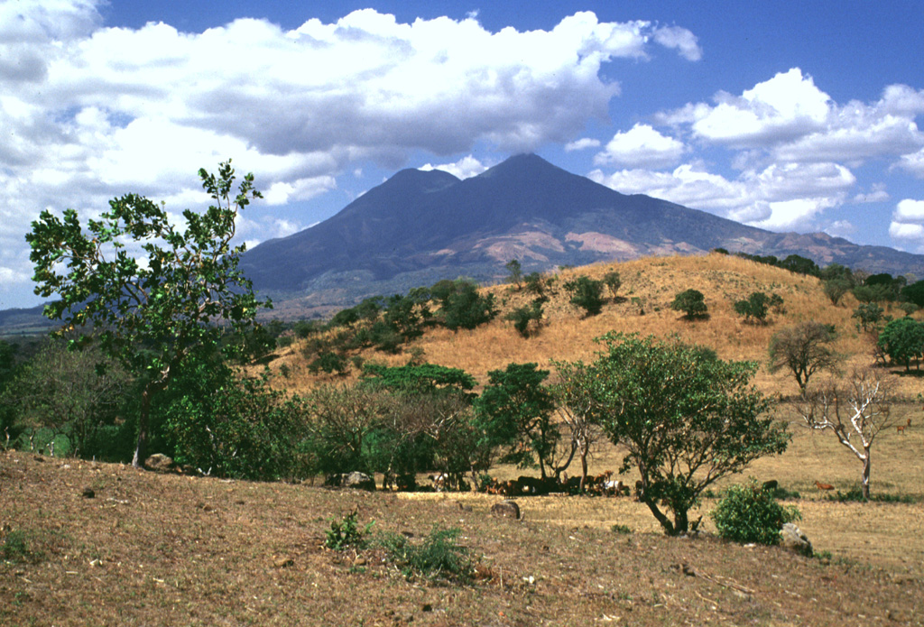San Vicente is one of El Salvador's largest volcanoes. The hill in the foreground is a hummock of the Tecoluca debris avalanche deposit on the SE flank, with the main edifice in the background. The avalanche and associated lahars traveled about 25 km to the Río Lempa. Photo by Lee Siebert, 1999 (Smithsonian Institution).