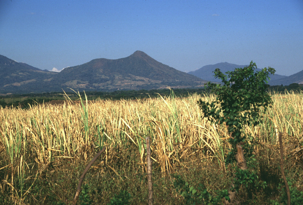 Taburete volcano (seen here from the SW) rises above the Pacific coastal plain, east of the Río Lempa. Taburete lies across an 800-m-high saddle from Tecapa volcano, visible to the left. The flat area to the left of the summit is a 150-300 m deep crater. Photo by Lee Siebert, 1999 (Smithsonian Institution).
