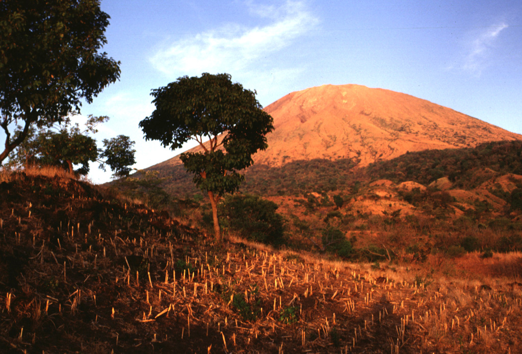 The low ridge in the left foreground is the vegetation-covered surface of a SW-flank lava flow erupted in 1867.  Lava effusion began on the SW flank on December 14.  Explosive activity continued, producing ashfall over the city of Usulután (20 km to the SW) and damaging tobacco plantations.  The volcano was reported to be in activity again on February 2 and was particularly active on February 16.  Lava fountains produced extensive scoria deposits that mantled the flow, causing it to be more vegetated than older flows. Photo by Lee Siebert, 1999 (Smithsonian Institution).