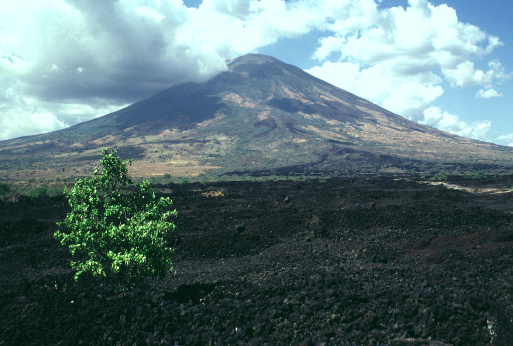 This sparsely vegetated basaltic lava flow was erupted from a fissure vent on the lower SE flank of San Miguel in 1819.  The flow covers a broad 2.5-km-wide, 5-km-long area on the low-angle slopes below the volcano and reaches down to an elevation of less than 40 m above sea level.  The principal coastal highway of El Salvador traverses the flow below the point of this photo, and the national railway crosses the flow closer to the vent. Photo by Lee Siebert, 1999 (Smithsonian Institution).