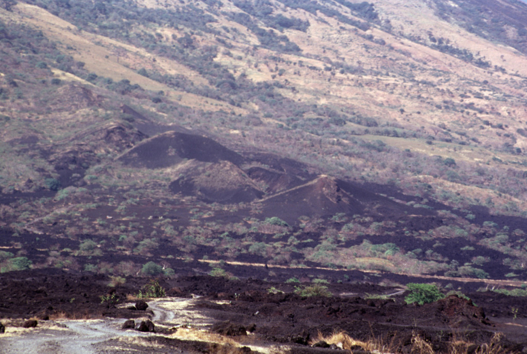 Small cinder cones on the lower SE flank of San Miguel between about 300 and 400 m altitude were constructed along a radial fissure that also was the source of a voluminous basaltic lava flow (foreground) erupted in 1819.  The flow traveled about 5 km and covered a broad area below the base of the volcano. Photo by Paul Kimberly, 1999 (Smithsonian Institution).