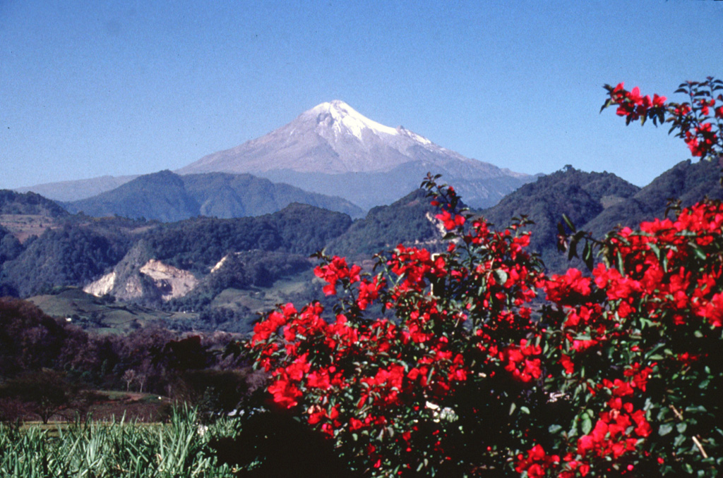 Pico de Orizaba volcano towers above ridges of Cretaceous limestone on its ENE flank. The glaciated volcano was constructed during three stages and has undergone edifice collapse on several occasions. Collapse of the initial Torrecillas edifice during the Pleistocene produced the massive Jamapa debris avalanche. It traveled down the Jamapa river and overtopped gaps in limestone foothills to reach the current area of the city of Huatusco, beyond where this photo was taken. Photo by Lee Siebert, 1998 (Smithsonian Institution).