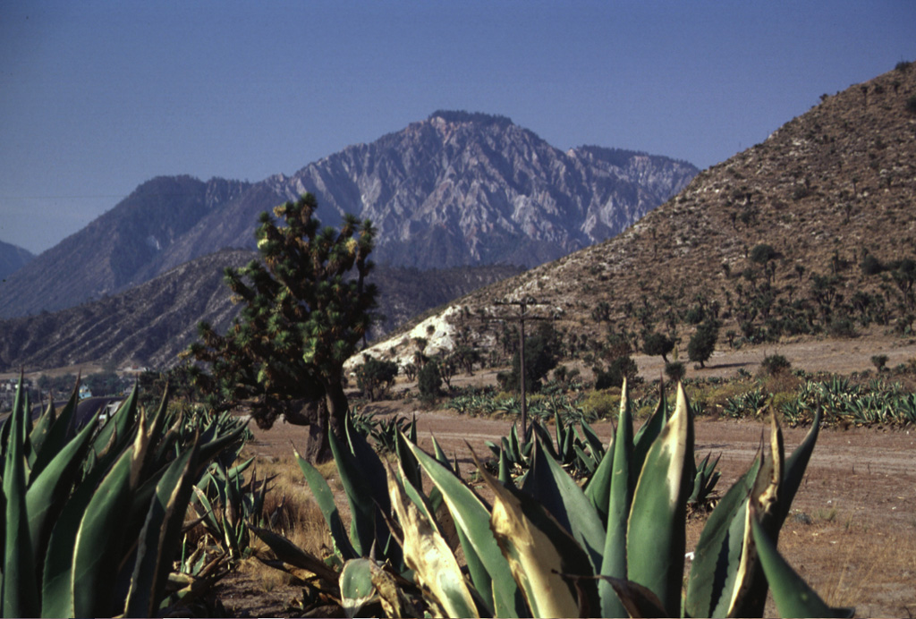 The NW-most dome of the two Las Derrumbadas lava domes, seen here from the NE along the highway to Perote, has undergone extensive hydrothermal alteration. Fumaroles on the domes remain active. The eroded hillside near the center is the outer flank of the San Luis Atexcac tuff ring, which contains a crater lake. Photo by Lee Siebert, 1999 (Smithsonian Institution).