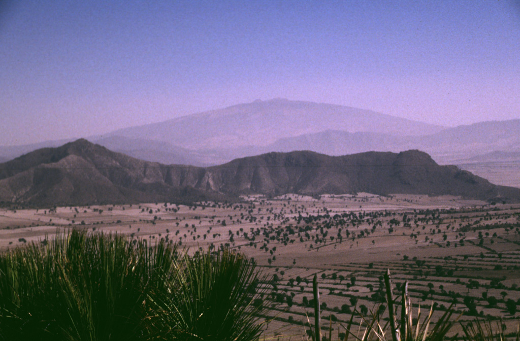 The broad Cofre de Perote massif towers above the eastern margin of the Serdán-Oriental basin. The low-angle volcano consists primarily of thick lava flows. It is the northernmost volcano of a roughly N-S-trending chain at the eastern margin of the Mexican Volcanic Belt that extends southward to Orizaba volcano. The ridge in the center of the photo is an outcrop of Cretaceous limestone that underlies the Cofre-Orizaba volcanic chain and is exposed on either side of the range. Photo by Lee Siebert, 1998 (Smithsonian Institution).