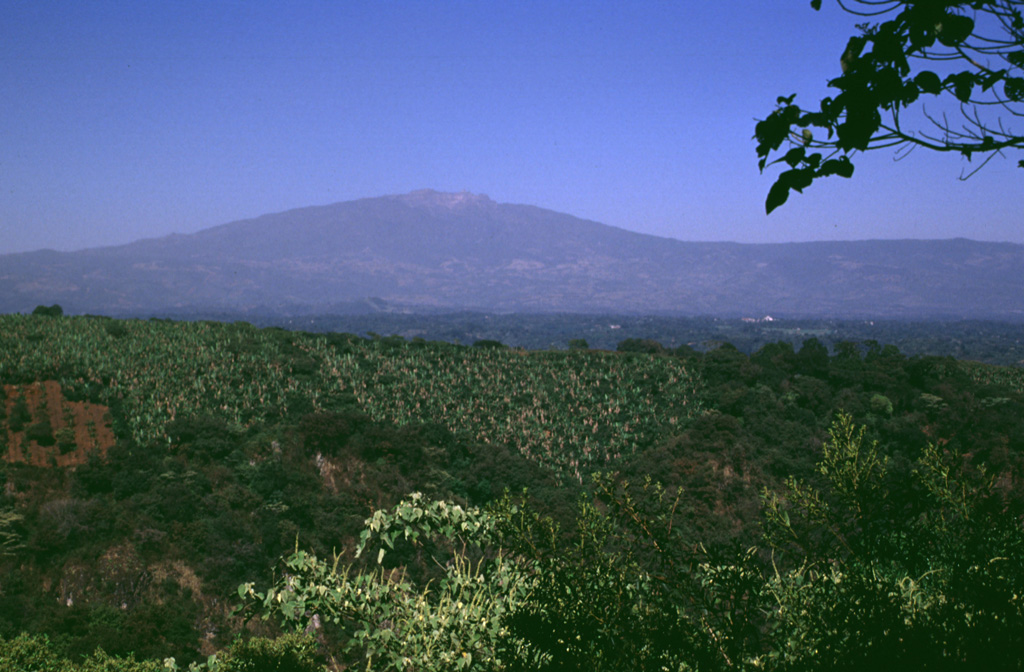 Cofre de Perote, a massive Quaternary volcano at the NNE end of a volcanic chain extending southward to Pico de Orizaba volcano, rises above banana crops below its SE flank. A large compound escarpment formed in part by edifice collapse is visible on the eastern flank. The upper part of this scarp forms the barren area below the summit. Numerous scoria cones, some of Holocene age, formed across the flanks of the largely Pleistocene edifice. Photo by Lee Siebert, 1999 (Smithsonian Institution).