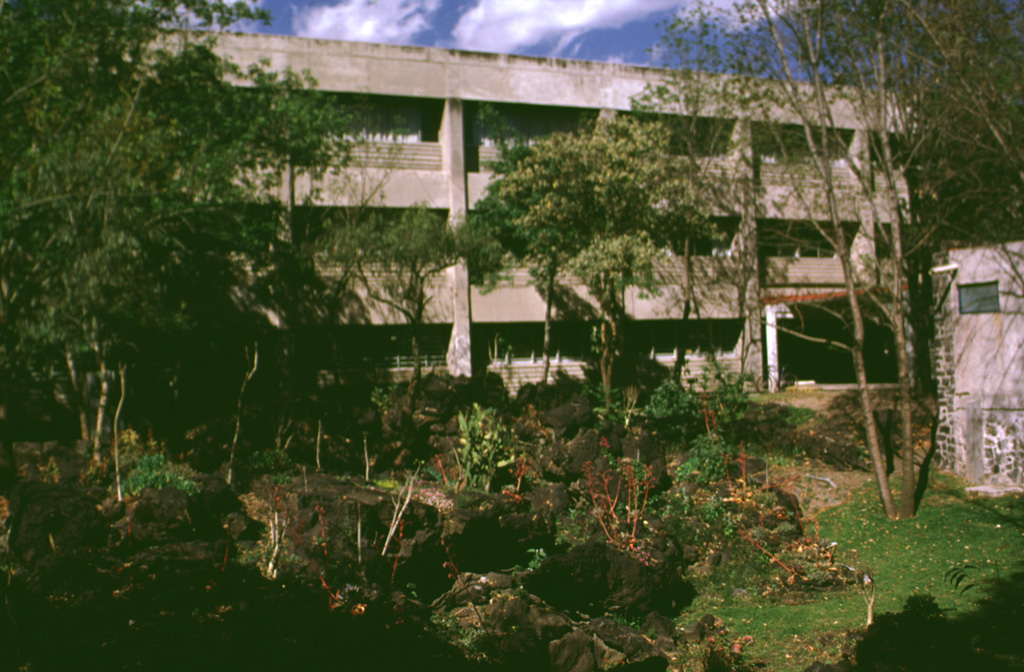 The campus of the Universidad Nacional Autónoma de México (UNAM), the National University of México, overlies a 1,600-year-old lava flow from the Xitle scoria cone in the Chichinautzin volcanic field. Basaltic lava from Xitle is exposed in the foreground between buildings of the departments of geology and geophysics. Volcanologists and seismologists from the university conduct research on Mexican volcanoes and are involved in monitoring of ongoing activity. Photo by Lee Siebert, 1998 (Smithsonian Institution).