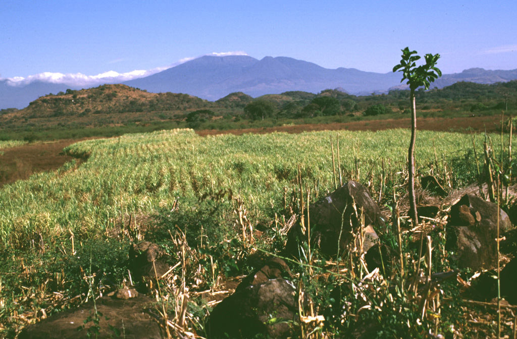 Santa Ana volcano, seen in the distance more than 30 km to the north, underwent catastrophic edifice collapse during the late Pleistocene. This produced a massive, highly mobile, debris avalanche that emplaced the boulders in the foreground and formed the small hummocks across the center. The larger hill to the left is composed of the older Bálsamo formation, which was surrounded by the avalanche. This avalanche was one of the largest known in Central America and traveled nearly 50 km from the volcano. Photo by Lee Siebert, 1999 (Smithsonian Institution).