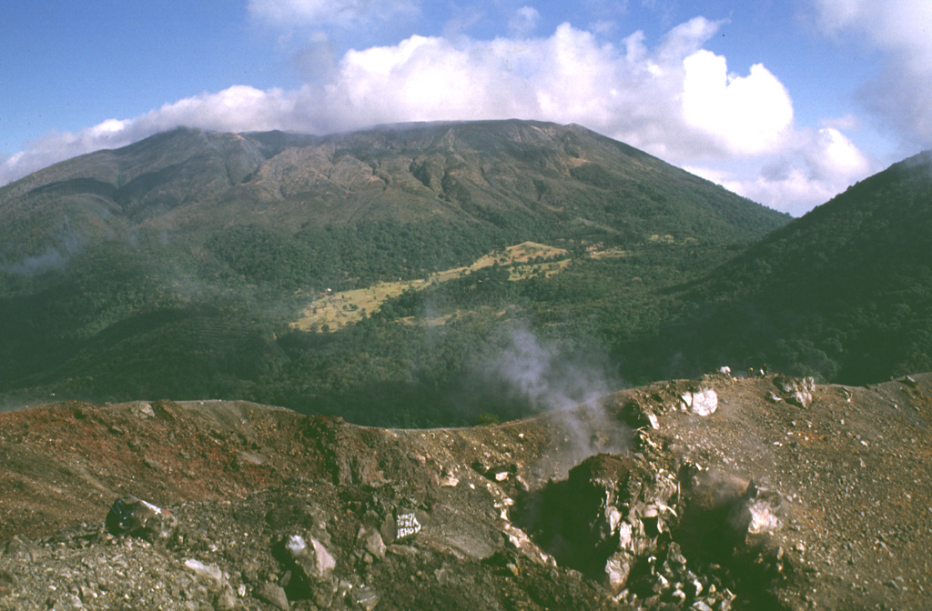 Santa Ana rises beyond the Izalco summit crater, which began erupting in 1770 on the northern Santa Ana flank. Fumarolic activity continues at Izalco, producing the faint steam plume in the right foreground, but has diminished considerably since the 200-year-long eruptive period ended in 1966. A complex of four nested craters gives the summit of Santa Ana a flat profile. The flank of Cerro Verde is seen to the right. Photo by Lee Siebert, 1999 (Smithsonian Institution).