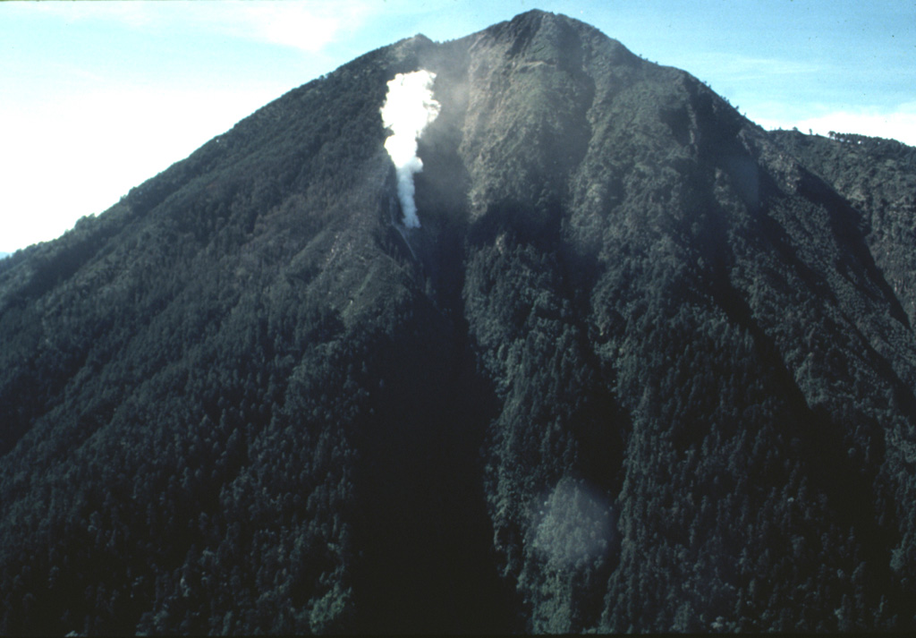 An aerial view of the NE flank of Tacaná volcano on 25 June 1986 shows a steam plume rising above a new vent. Minor phreatic eruptions, the first since 1949, took place in February, May, and June 1986. Following a seismic swarm beginning the previous day, a moderate phreatic explosion around noon on 8 May created a new 10-m-wide vent and ejected a small amount of fine ash. Vegetation was damaged over an area of 200 x 100 m. Photo by Bill Rose, 1986 (Michigan Technological University).