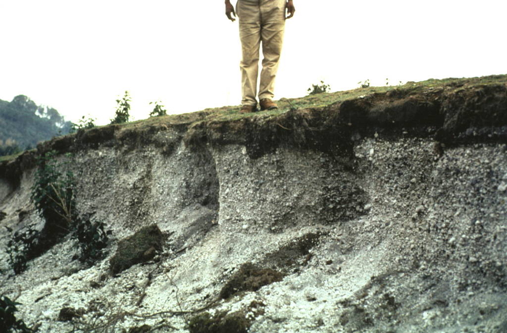 Deposits of the 1902 Plinian eruption are exposed in a 1-m-thick outcrop 3.2 km S of Llano del Pinal, the saddle between Santa María and Siete Orejas volcanoes. The pumice is overlain by about 15 cm of finer-grained darker-colored ash. Most of the outcrop consists of light-colored dacite pumice fragments. Pumice fall was reported in Tapachula across the Mexican border, and ashfall was reported in Mexico City. Photo by Bill Rose, 1967 (Michigan Technological University).