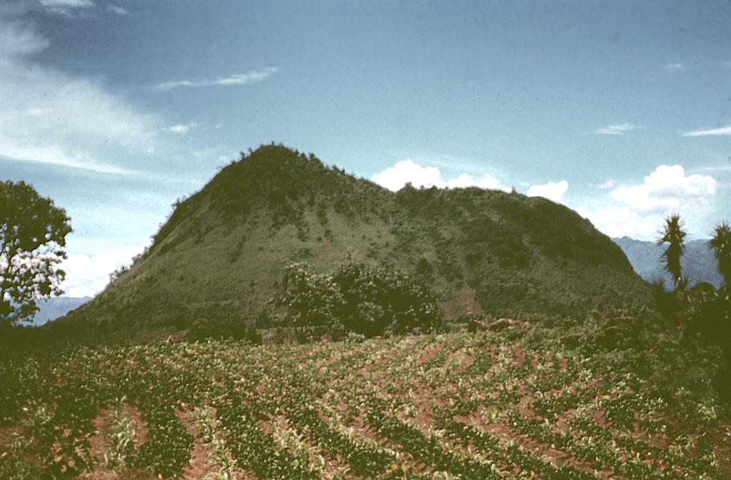 Cerro de Oro is a lava dome that was constructed on the northern flank of Tolimán, near the southern shoreline of Lake Atitlán. Lava flows from Cerro de Oro extend into the lake and may be as young as a few thousand years. The dome's name (which means Hill of Gold) reflects local belief that it contains buried treasure. Photo by Bill Rose, 1972 (Michigan Technological University).