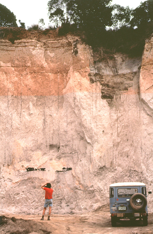 A geologist examines an outcrop of the 84,000-year-old Los Chocoyos Ash near Patzún, about 10 km E of Lake Atitlán. Note the charred log above his head. This pyroclastic flow unit of the Los Chocoyos deposit is up to 200 m thick and is exposed over an area of about 2,000 km2. Individual flow units of the voluminous ignimbrite are sometimes more than 100 m thick. The upper part of the deposit is characteristically salmon-pink in color as a result of oxidation of the cooling flow. Photo by Bill Rose, 1980 (Michigan Technological University).