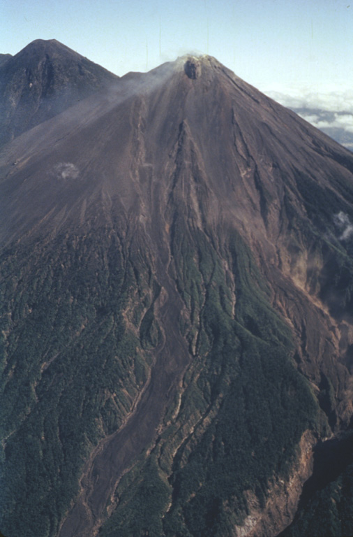 Frequent explosive eruptions have kept the summit of Fuego unvegetated. Historical lava flows that originated from the summit crater descended through forests down the Río Taniluya (left) and the Río Ceniza (right) on the SW flank. Acatenango is to the left. Photo by Bill Rose, 1980 (Michigan Technological University).