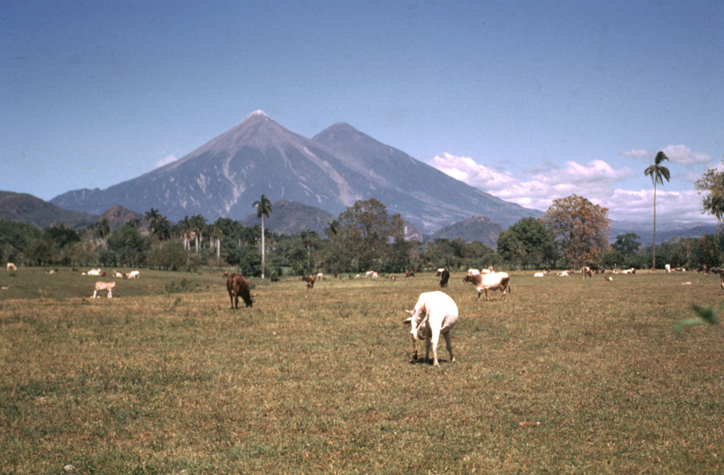 Fuego and Acatenango volcanoes tower more than 3.5 km above farmlands of the Pacific coastal plain. Edifice failure of these volcanoes has occurred in the direction of the coastal plain, producing major debris avalanches that reached as far as 50 km away. Photo by Bill Rose, 1970 (Michigan Technological University).