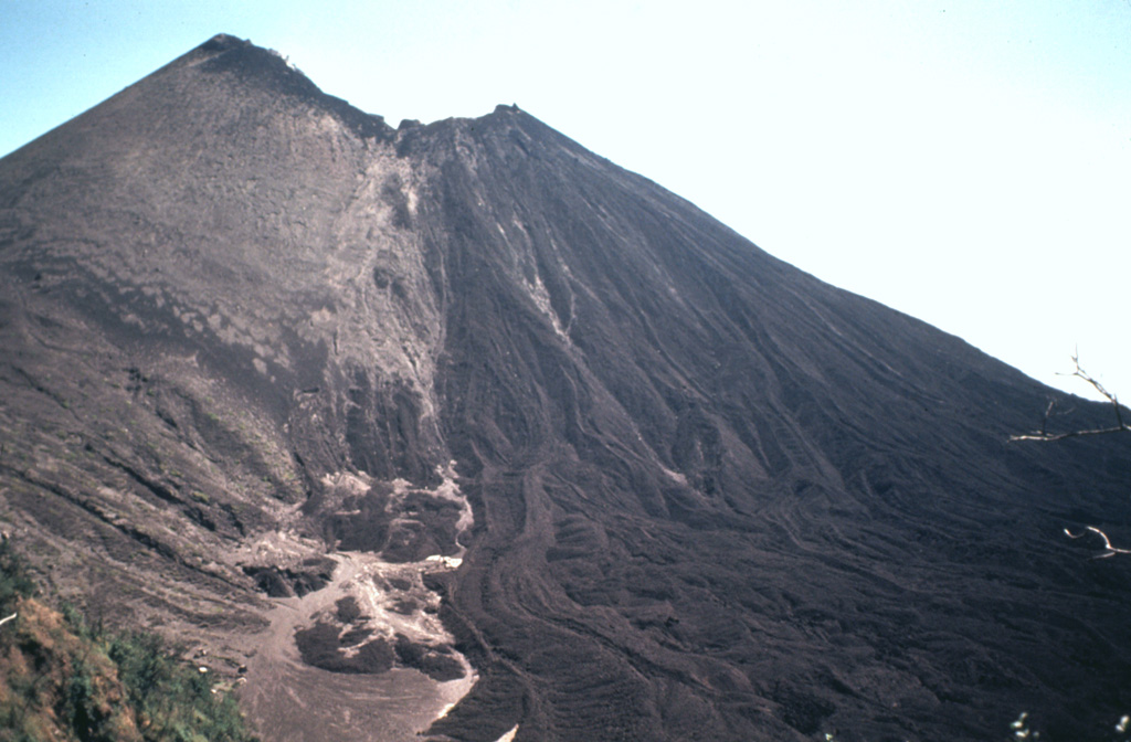 In May 1981 lava flows overtopped a notch in the NW rim of MacKenney crater and flowed down the northern flank. This view from Meseta on the caldera rim shows multiple individual flow lobes with levees. The dark lava field to the right contrasts with the tephra-covered slopes of the cone to the left. This period of frequent lava extrusion lasted from 9 May until 2 June. Photo by Bill Rose, 1981 (Michigan Technological University).