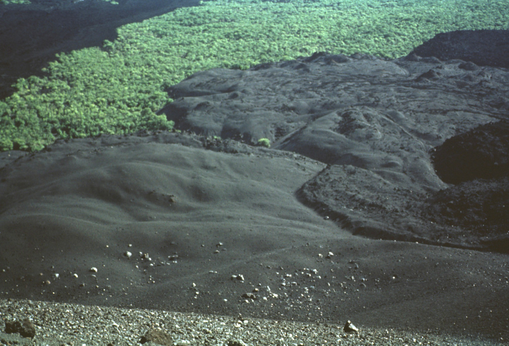 The lava flow at the right, partially mantled by tephra, was erupted in July 1947.  A strong explosive eruption produced ashfall that damaged crops at Malpaisillo.  The 1947 lava flow originated from a parasitic cone and traveled to the NE.  This photo from the northern side of Cerro Negro also shows darker-colored lava flows from the 1957 eruption at the extreme right and at the upper left. Photo by Bill Rose, 1971 (Michigan Technological University).