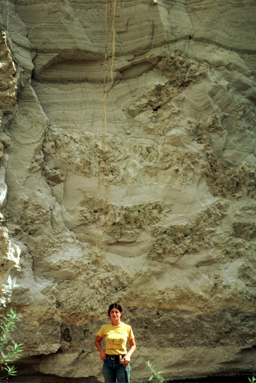 The giant pumice beds at Primavera volcano represent an unusual sedimentation event following formation of La Primavera caldera. Individual pumice blocks from 0.3 to more than 6 m across are enclosed within fine-grained volcanic ash-rich lake sediments. The giant pumice blocks originated by eruption of rhyolitic lava into a caldera lake. The pumice fractured into large blocks that floated to the surface, rafted across the lake, and settled to the bottom after becoming waterlogged. Subsequent deposition of fine-grained lake sediments buried the pumice blocks. Photo by Jim Luhr, 1979 (Smithsonian Institution).