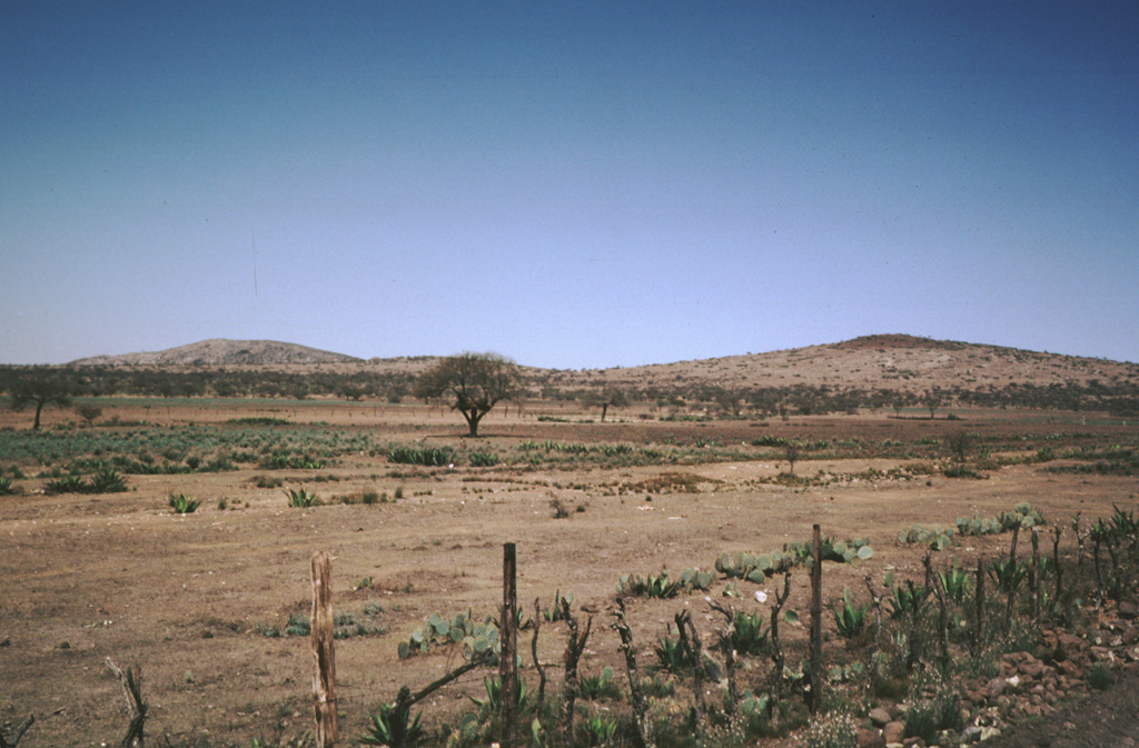The rim of La Joya Honda maar is viewed here from the south, with the northern maar wall on the left and a cone on the SE flank on the right.  The maar, whose name is sometimes spelled La Hoya Honda, is 850 x 1100 m wide and was erupted through Cretaceous limestones about 1.1 million years ago.  The maar contrasts with several other Mexican maars in having a thick sequence of wet-surge deposits with primary dips up to 30 degrees. Photo by Jim Luhr, 1983 (Smithsonian Institution).
