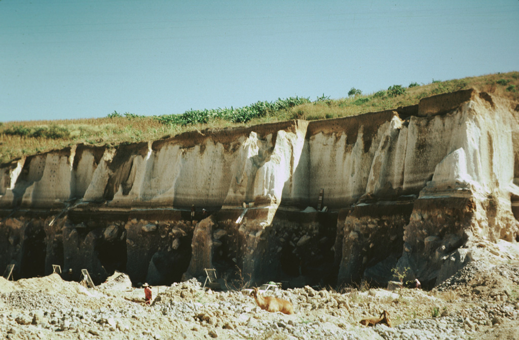 The locally widespread Tepic Pumice is exposed in this quarry on the NW outskirts of the city of Tepic.  The zoned rhyodacitic-andesitic pumice, forming the upper half of this exposure, was erupted about 15,000 years ago and resulted in the formation of a 4-km-wide caldera at the summit of San Juan volcano.  The 5.6 cu km Tepic Pumice deposit underlies the city of Tepic, the captial city of Narayit state, to thickness of 2-9 m.   Photo by Jim Luhr, 1976 (Smithsonian Institution).