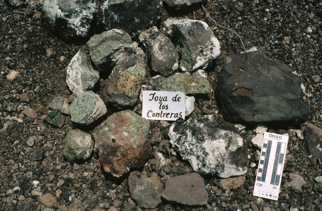 This pile of xenoliths was collected during field work at the Joya de los Contreras maar.  The Santo Domingo maars are the source of mantle-derived spinel-lherzolite xenoliths and deep-crustal granulite xenoliths.  The light-colored areas on the rims of the xenoliths are a coating of caliche.  The scale at the lower right marks 10 cm on the left side. Photo by Jim Luhr, 1991 (Smithsonian Institution).