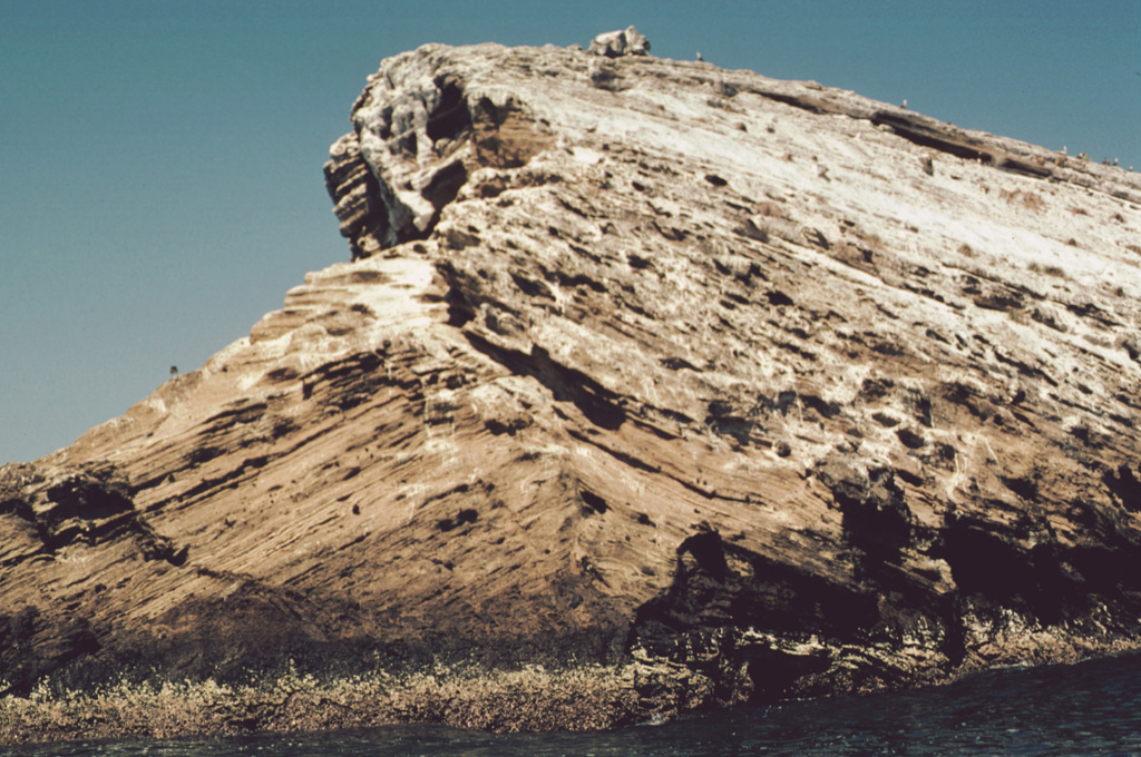 A sea-cliff exposure at the southern end of Islota Pelón, located off the NW coast of Isla Isabel, shows a dramatic angular uncomformity between two generations of dipping tuff beds. The large volcanic bomb perched on the rim at the top lies on dipping layers in the interior of the tuff cone. Wave erosion has left only the arcuate western rim of Islota Pelón, whose vent lies out of view to the right. Photo by Jim Luhr, 1999 (Smithsonian Institution).