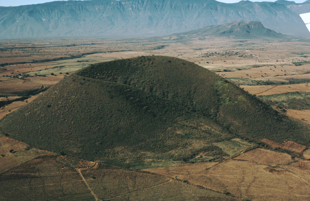 Eleven scoria cones have formed in the southern Colima graben near the flanks of Colima volcano since the late Pleistocene. Cerro la Erita, a 190-m-high cone, is seen here from the NE. Cerro el Petacál (top right) is a fault block of older rocks that rises above the graben floor. Sierra Manantlán forms the 1,700-m-high western graben wall on the SW block of the rift zone. Photo by Jim Luhr, 1981 (Smithsonian Institution).