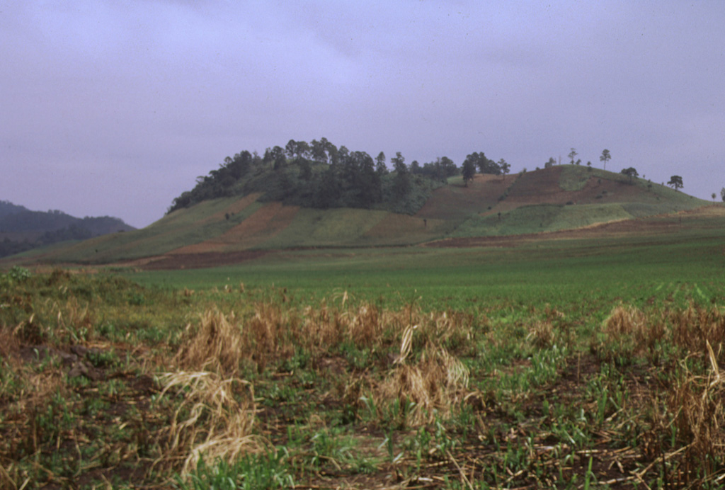 Cerro el Hoyo lies at the SE end of a subsidiary NW-SE-trending chain of pyroclastic cones of the Lake Yojoa volcanic field about 2 km NE of the lakeshore.  The cones are surrounded by lava fields that are partially tholeiitic in composition, but mostly consist of trachytes, trachybasalts, and trachyandesites with large phenocrysts of sanadine and anorthoclase. Photo by Rick Wunderman, 1999 (Smithsonian Institution).