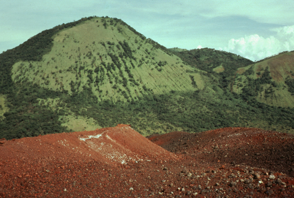 The vegetated peak Cerro Grande, a satellitic cone lying on the NW side of Las Pilas volcanic complex, rises to the SE above the reddish surface of Cerro Negro volcano in the foreground.  At 1001 m, Cerro Grande is the second highest peak of the N-S-trending Las Pilas volcanic complex. Photo by Franco Penalba, 1979 (courtesy of Jaime Incer).