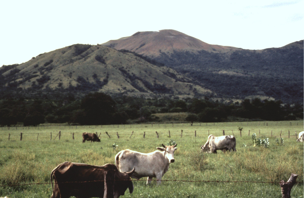 Las Pilas volcano (right center) rises above a cattle ranch on its SE side.  The rounded eroded peak at the left is the older cone of Cerro Los Tacanistes.  The floor of the Nicaraguan depression at this point is less than 100 m above sea level, a full kilometer below the summit of Las Pilas. Photo by Jaime Incer, 1991.