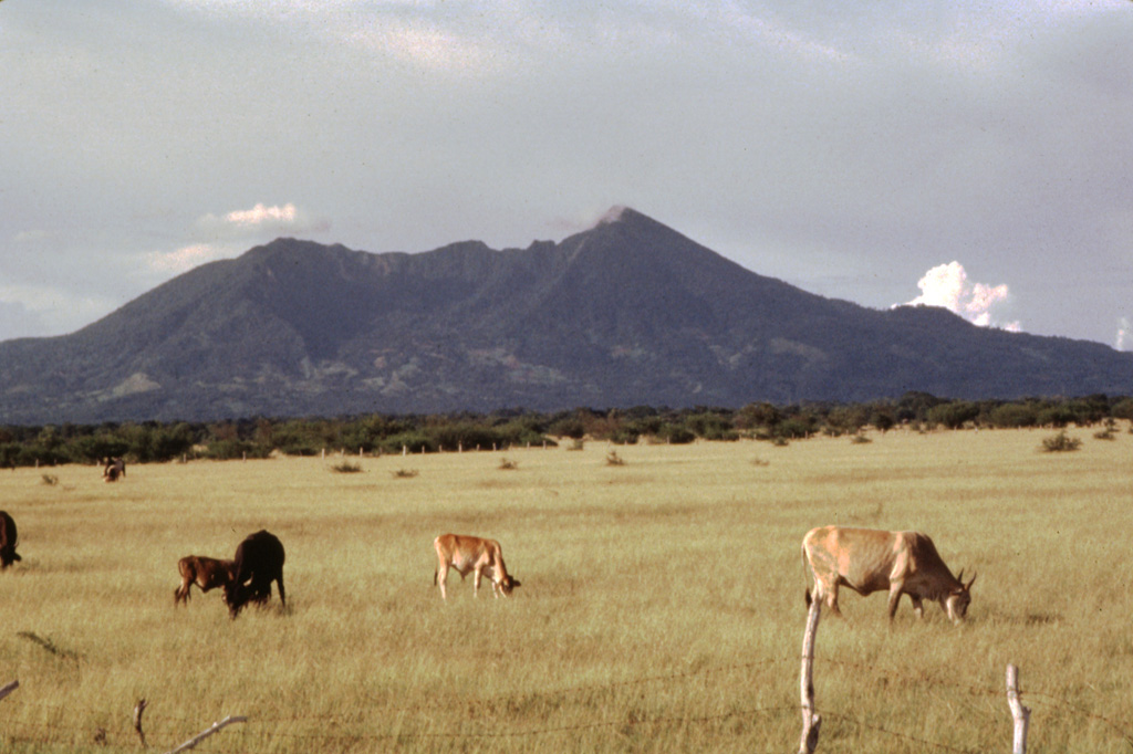 Volcán Mombacho rises above cattle ranches on the plain of Nandaime, south of the volcano.  The volcano's irregular summit with two major peaks reaching 1222 and 1333 m resulted from collapse of the top of the volcano, which left the horseshoe-shaped depression in the center of the photo.  Mombacho is the centerpiece of the Mombacho Volcano Reserve, whose forested terrain contains exotic orchids, birds and primates. Photo by Jaime Incer, 1966.