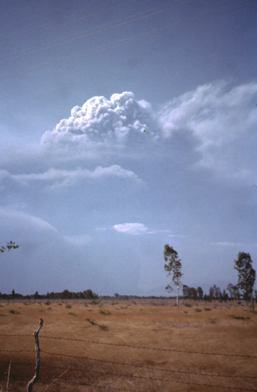 An eruption plume towers above Cerro Negro volcano in this April 1992 view from the south.  Violent strombolian eruptions during April 9-14 produced heavy ashfall that caused extensive damage to buildings and croplands.  The ash cloud extended 300 km to the WSW, with a maximum width of about 200 km.  The eruption column was often clearly visible from Managua (60 km SE).  Material ejected to about 7.5 km during more energetic pulses of the eruption was carried roughly 50 km NE by higher-altitude winds. Photo by Jaime Incer, 1992.