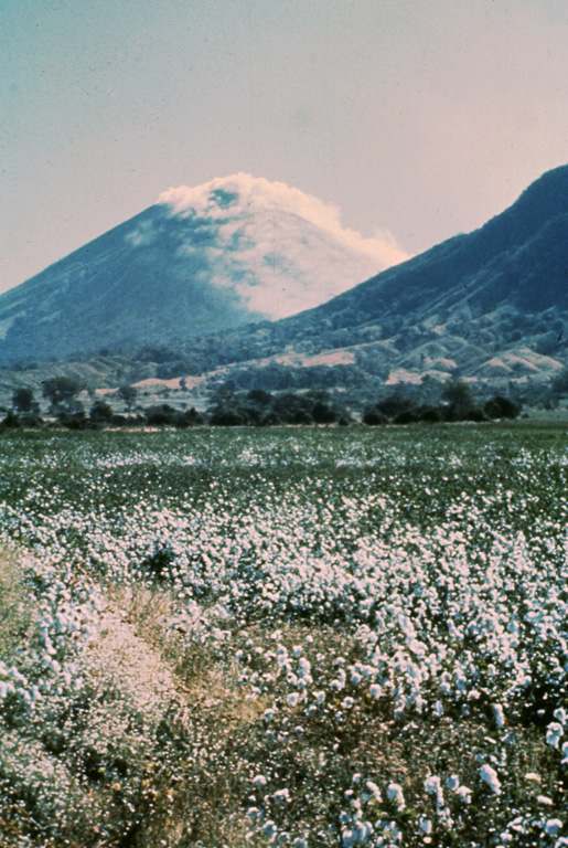 Steam clouds blown to the west by trade winds pour from the summit crater of San Cristóbal in 1977 and blanket the volcano's flanks.  The slopes of El Chonco, an eroded stratovolcano at the western end of the San Cristóbal complex, are seen at the right above cotton fields in the foreground.  Several lava domes are found near the base of El Chonco, which also produced a 9-km-long lava flow that extends to within 1.5 km of the city of Chinandega, SW of the volcano. Photo by Jaime Incer, 1977.