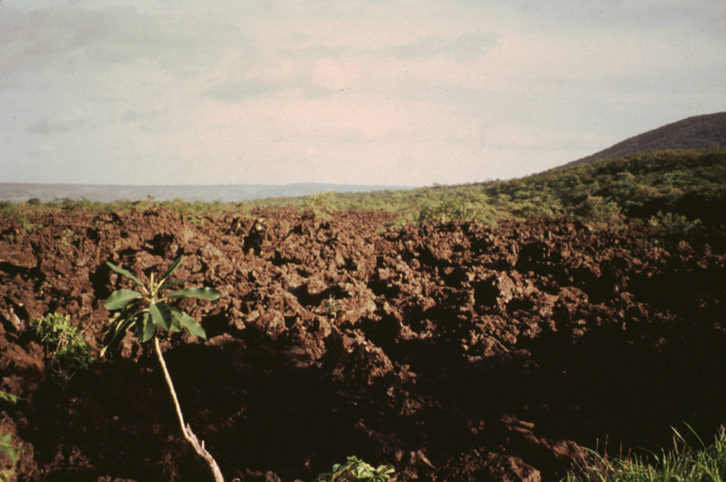The fresh-looking lava flow in the foreground was erupted in 1772.  On March 16 of that year lava emerged from a fissure on the north side of Old Masaya Crater, accompanied by bomb ejection.  Part of the flow was diverted by the caldera wall and flowed into Masaya Lake, but much of the flow overtopped the caldera rim and traveled a total of 16 km to near the shores of Lake Managua, cutting the road between Nindirí and Managua and destroying croplands.  The eruption lasted about 9 days. Photo by Jaime Incer, 1994.