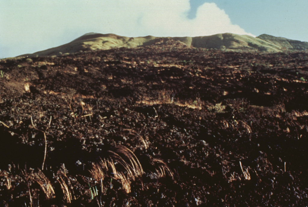 The 1670 lava flow covering much of this photo originated from Nindirí crater on the horizon.  A lava lake in the crater eventually overflowed the rim, producing a lava flow that traveled from Nindirí crater for 5 km down the northern flank of Masaya's post-caldera cone.  Some accounts confused the 1670 flow from Nindirí with the 1772 flow from Old Masaya crater. Photo by Jaime Incer, 1994.